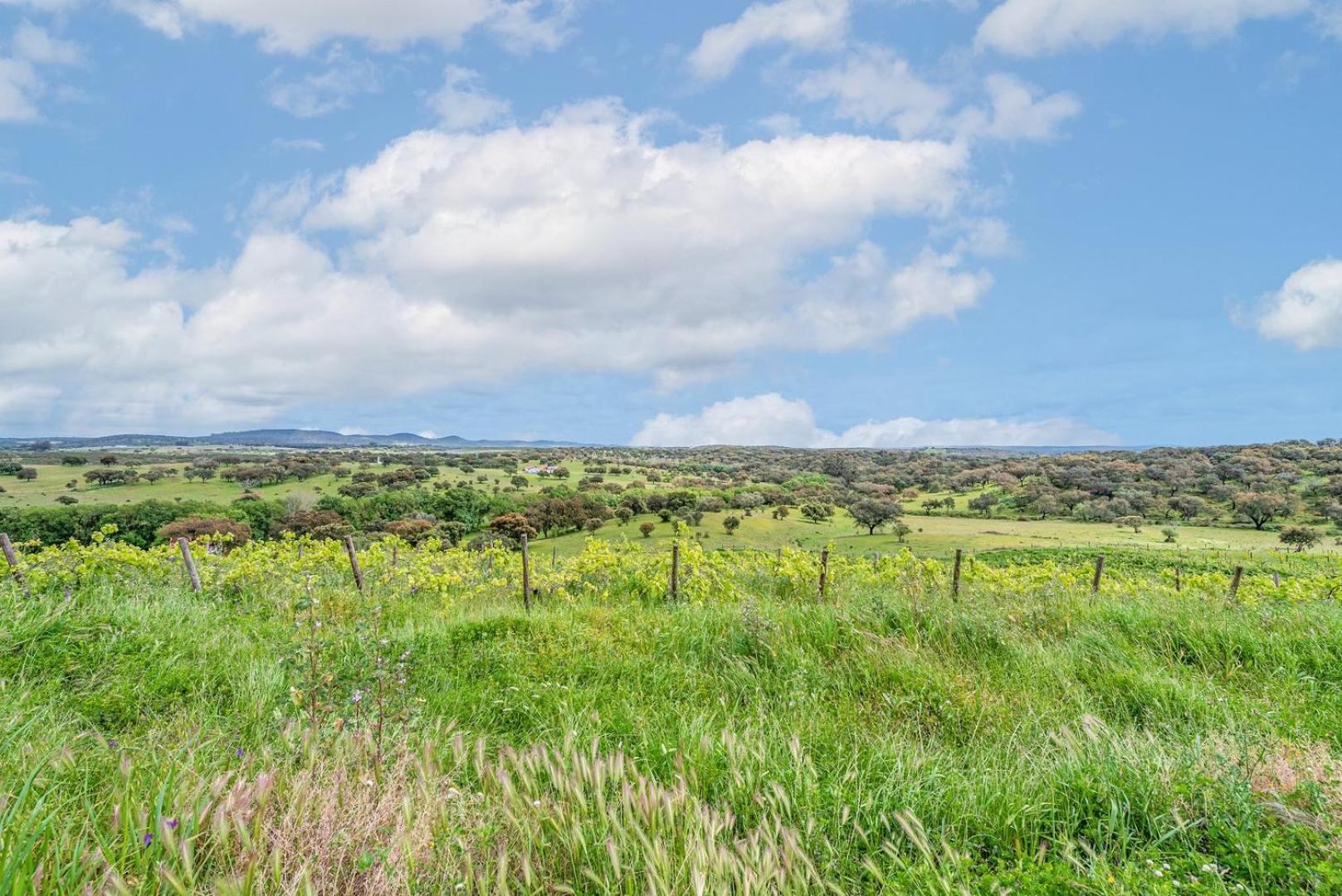 GuestReady - Herdade da Sexta Velha - Alentejo Wine Estate Montemor-o-Novo Exterior foto