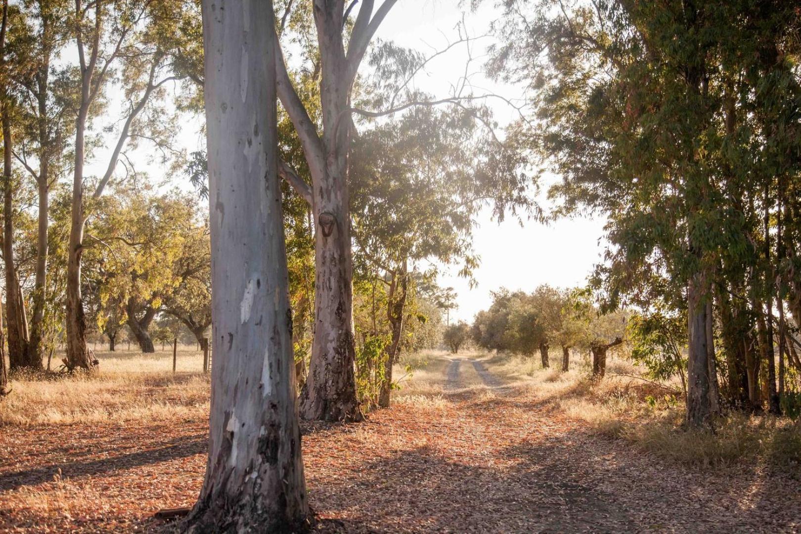 GuestReady - Herdade da Sexta Velha - Alentejo Wine Estate Montemor-o-Novo Exterior foto