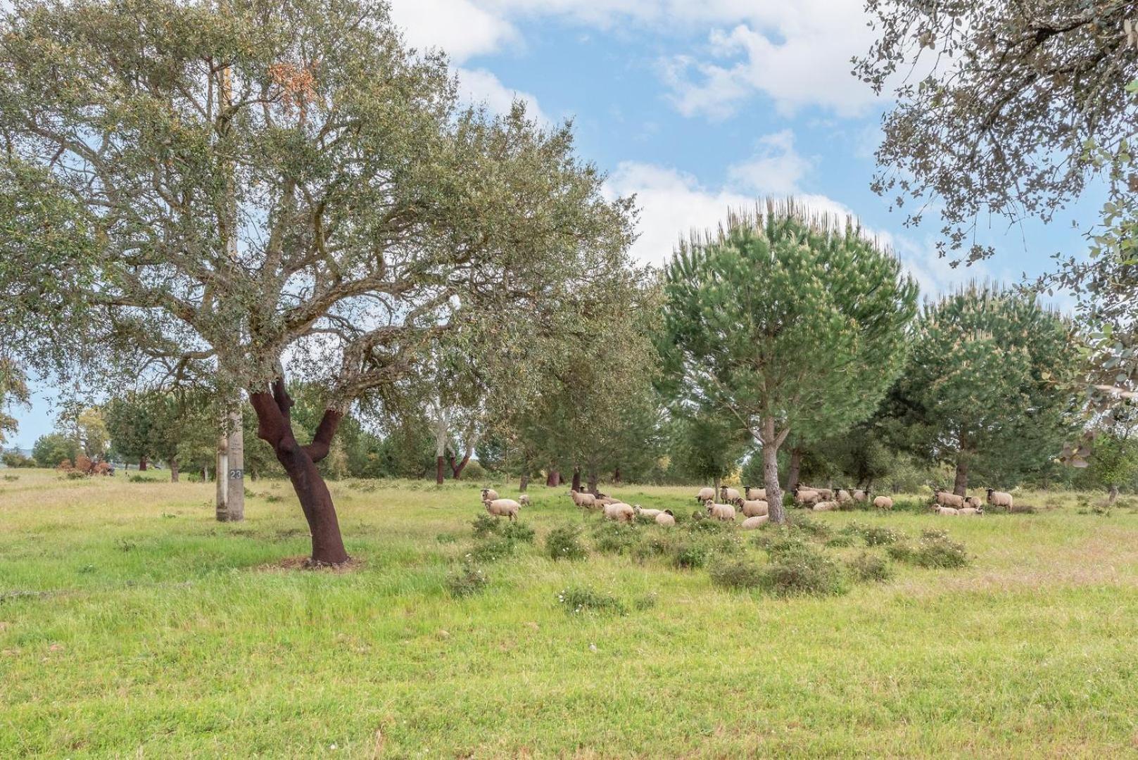 GuestReady - Herdade da Sexta Velha - Alentejo Wine Estate Montemor-o-Novo Exterior foto