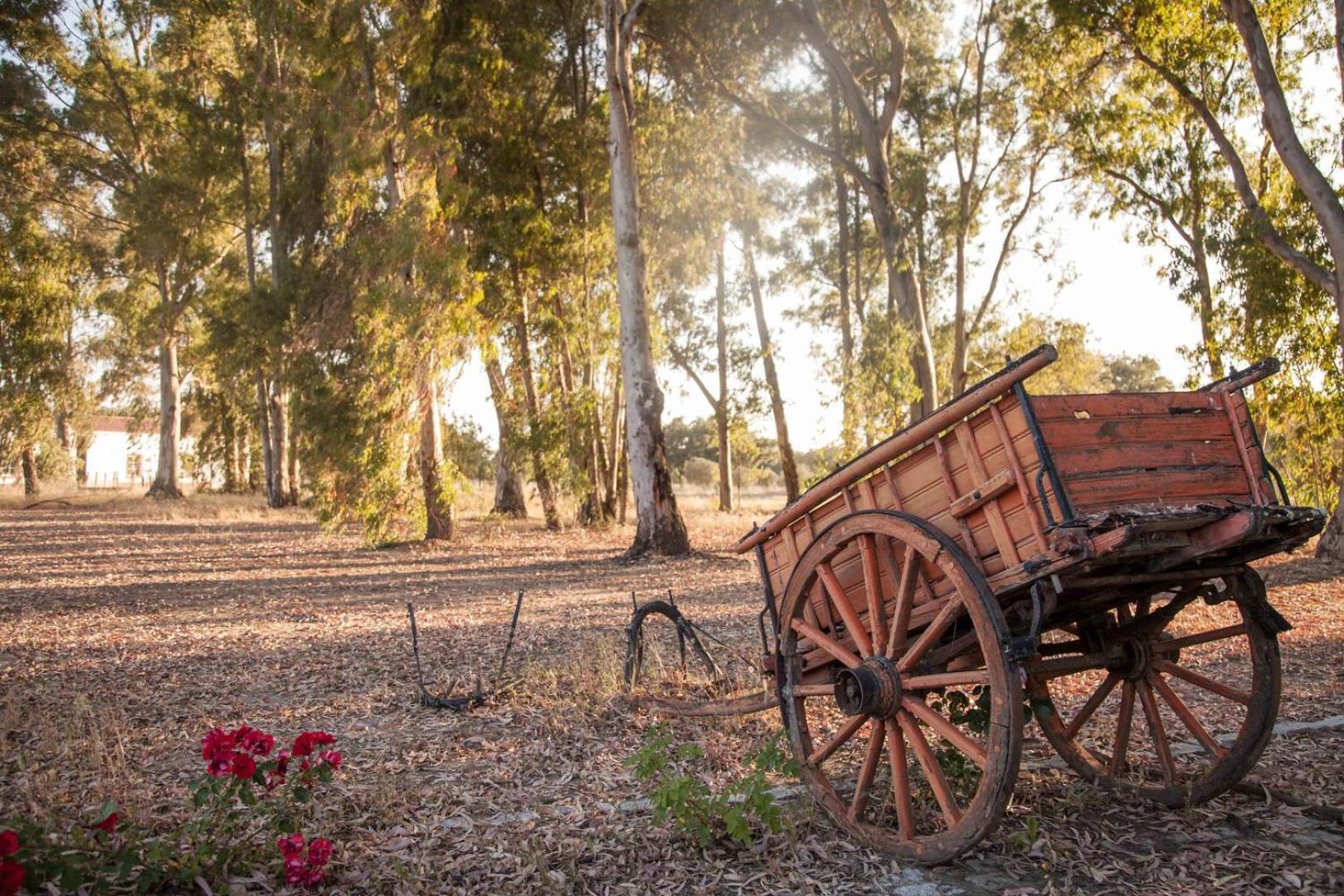GuestReady - Herdade da Sexta Velha - Alentejo Wine Estate Montemor-o-Novo Exterior foto